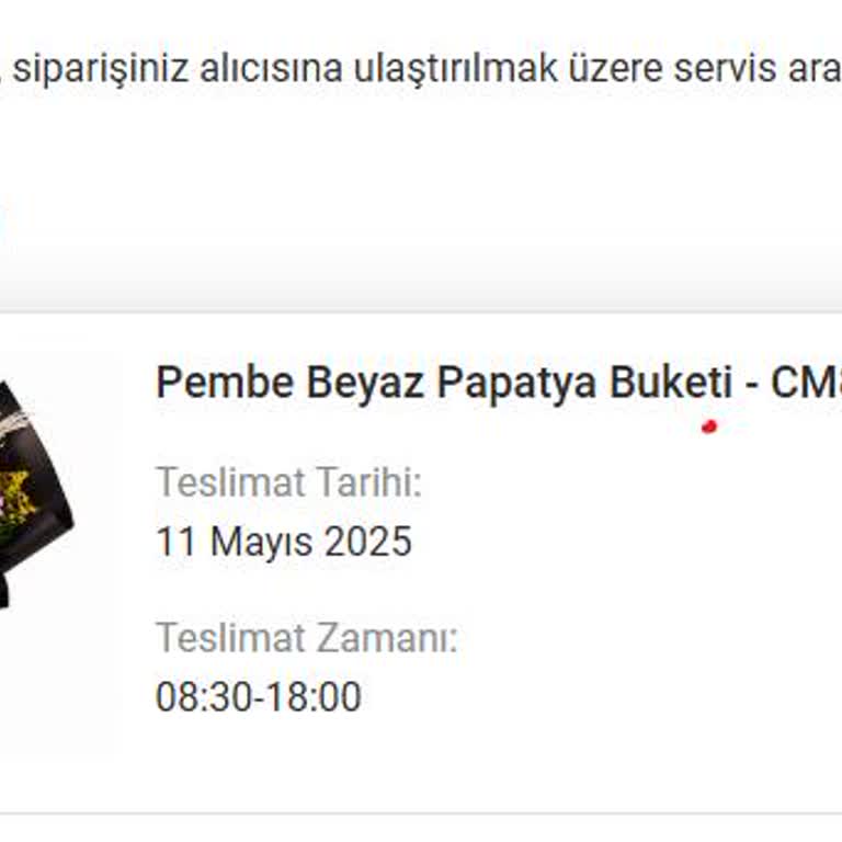 Teslimat Gecikmesi Ve Yetersiz Müşteri Hizmetleri Deneyimi