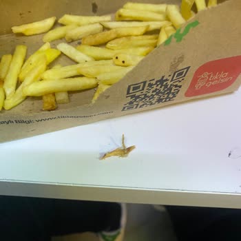 Burger King Siparişimde Tahta Parçası Ve Yanlış İçecek Şoku!