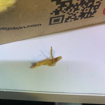 Burger King Siparişimde Tahta Parçası Ve Yanlış İçecek Şoku!