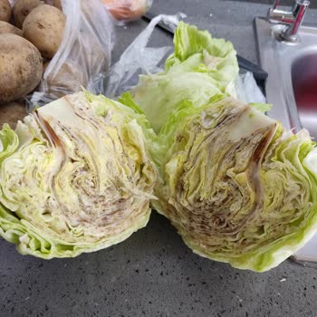 Gönderilen Ürün Kalitesi Beklentimin Altında Kaldı