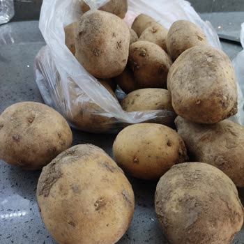 Gönderilen Ürün Kalitesi Beklentimin Altında Kaldı