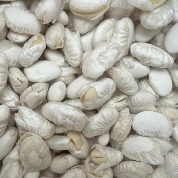 Hasata Marka Fasulye Suda Bekletince Tamamen Parçalandı