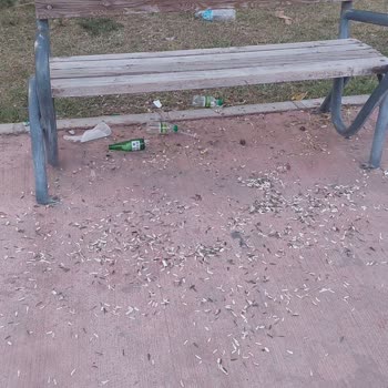 Karaduvar Mahallesi Park Ve Sahil Alanlarının Temizlik Sorunu
