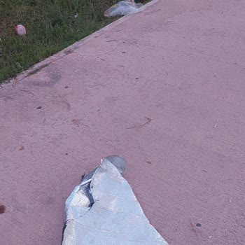 Karaduvar Mahallesi Park Ve Sahil Alanlarının Temizlik Sorunu