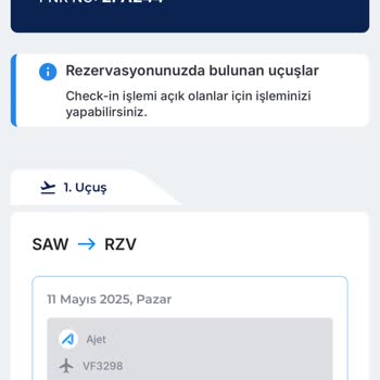 Check-in Sistemleriniz Çalışmadı Biletim Yandı