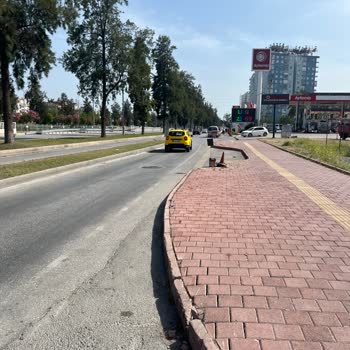 Telefonla Uğraşan Taksi Şoförü Az Kalsın Beni Eziyordu