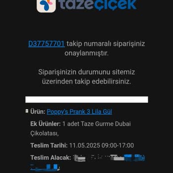 Anneler Günü Siparişim Hem Gecikti Hem De Müşteri Hizmetlerine Asla Ulaşamadım