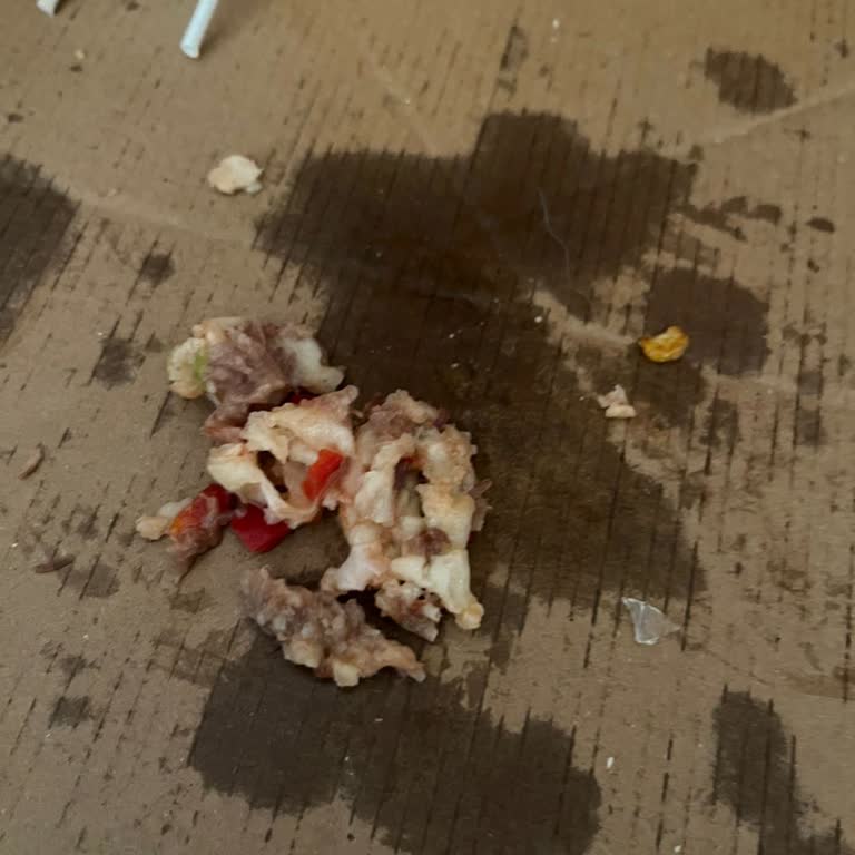 Siparişimde Cam Ve Plastik Parçası Çıktı, Mağduriyetim Giderilmedi