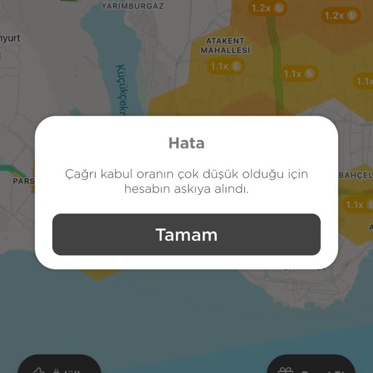 Martı Hesabımın Askıya Alınması