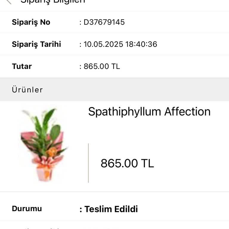 Anneler Günü Siparişim Teslim Edilmedi, Müşteri Hizmetleri Cevap Vermiyor