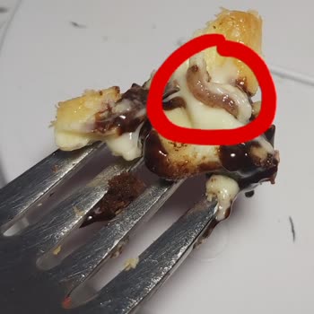 Milka Beyaz Çikolatada Solucan Şoku Hijyen Endişesi