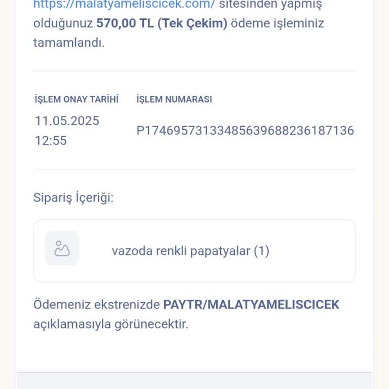 Melis Çiçek | Malatya Sipariş Teslimi Olmadı