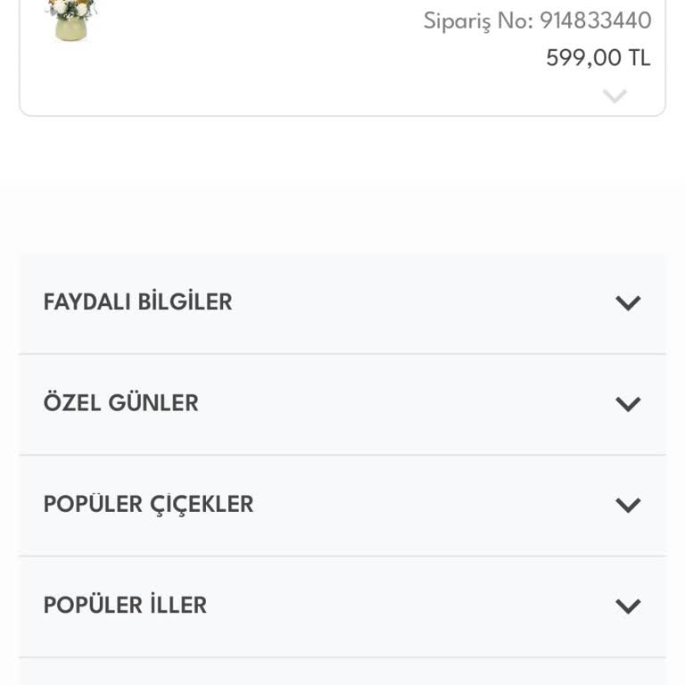 Aynı Gün Teslimat Ve İade Sürecinde Yaşanan Sorunlar