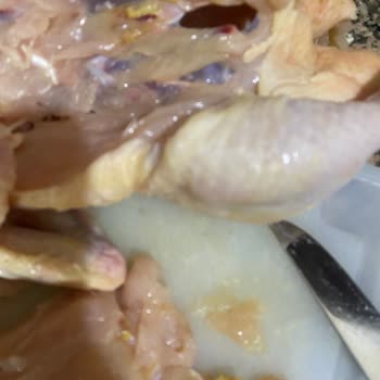 Aldığım Tavukta Şüpheli Madde Ve İade Sorunu