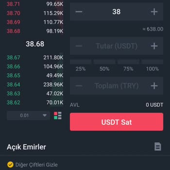 Binance TR Hesabımda USDT Bakiyem Görünmüyor, Para Çekemiyorum