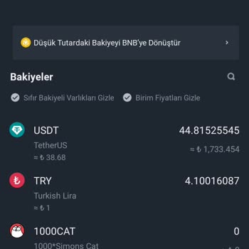 Binance TR Hesabımda USDT Bakiyem Görünmüyor, Para Çekemiyorum