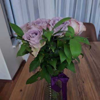 Yanlış Ve Kırık Ürün, Bilgilendirme Yapılmadan Teslimat