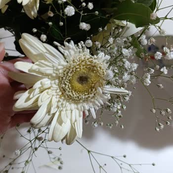 Anneler Günü İçin Sipariş Edilen Çiçekler Solmuş Ve Eksik Geldi, Destek Dönüş Yapmıyor