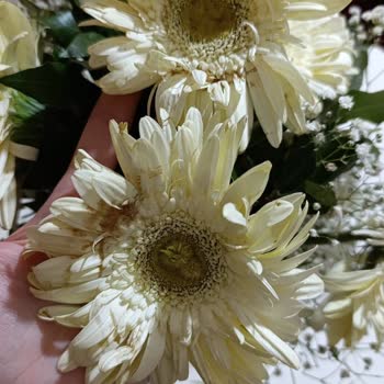 Anneler Günü İçin Sipariş Edilen Çiçekler Solmuş Ve Eksik Geldi, Destek Dönüş Yapmıyor