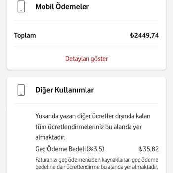 Faturadaki Beklenmedik Artış Ve Ek Ücretler Can Sıkıyor