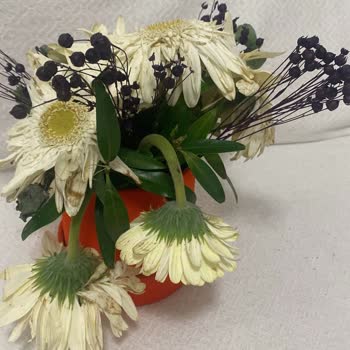 Anneler Günü'nde Yanlış Ve Solmuş Çiçek Gönderimi Mağduriyeti