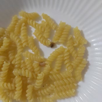 Makarna Paketinde Kurt Ve Tortu Şoku: Sağlığımız Tehlikede!