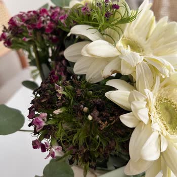 Anneler Günü Hediyem Solmuş Ve Onaysız Gönderildi: Hayal Kırıklığı!