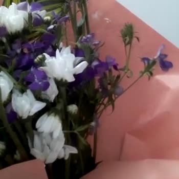 Can Flowers Sipariş Verdiğim Çiçek İle Gönderilen Çiçeğin Hiçbir Alakası Yok
