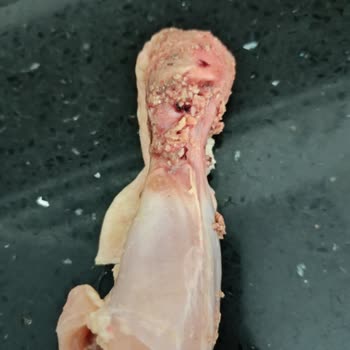 Cepte Şok'tan Aldığım Ürün Sorunu Çözülmüyor