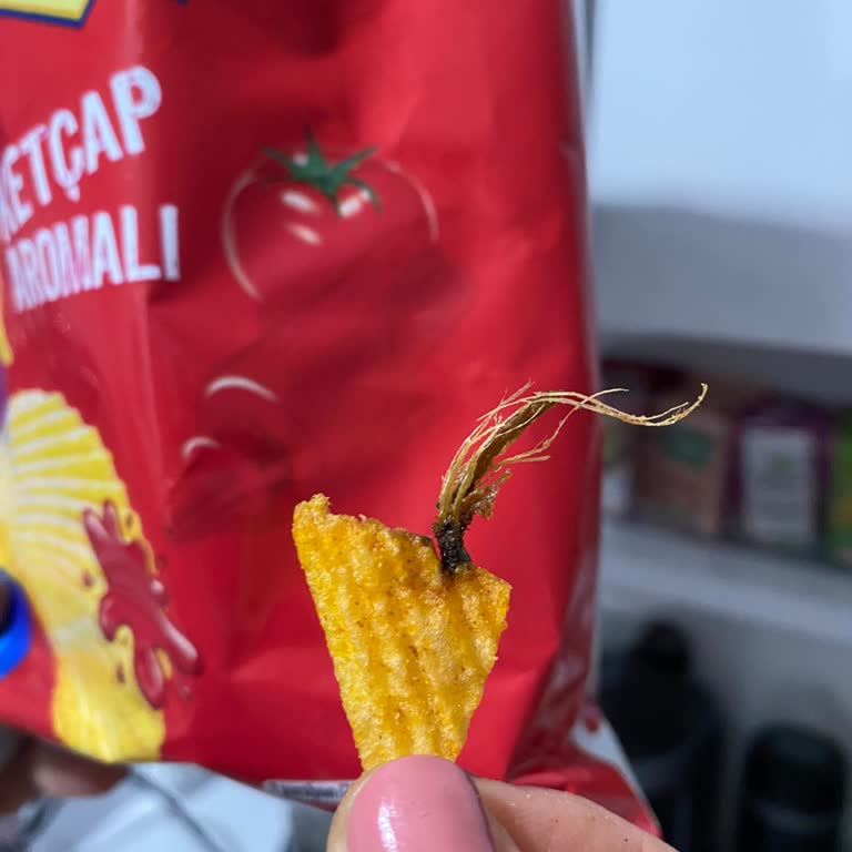 Ruffles Ketçaplı Cips Paketinden Böcek Çıktı Sağlığımızdan Endişeliyiz