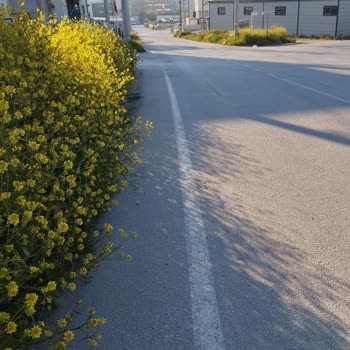 Minareliçavuş-Sanayi Yolunda Kaldırım Eksikliği Yayaları Tehlikeye Atıyor