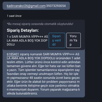 GameSatış'tan Alakasız Ve Boş Hesap Teslimatı Mağduriyeti