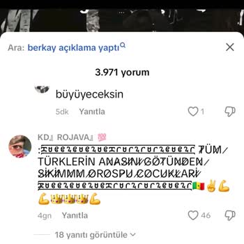 TikTok'ta Türk Milletine Hakaret Eden Kullanıcıya Yaptırım İstiyorum