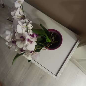 Anneler Günü Siparişimde Hem Teslimat Hem Müşteri Hizmetleri Sorunu