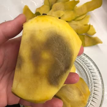 Pahalı Mangolar Çürük Çıktı, Hayal Kırıklığına Uğradım