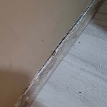 Hotel Alyssa (Üsküp) Biz 1 Gece Zor Kaldık Hemen Ayrıldık