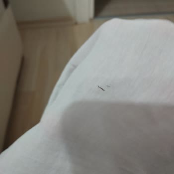 Aldığım Mavi Gömlek Hızla Delik Deşik Oldu, Hayal Kırıklığına Uğradım