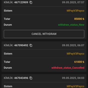 Between Sitesinde Yatırım Çekiminde Yaşanan Gecikme Ve İletişim Sorunları