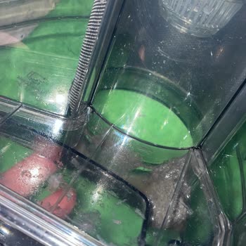 Yıkanabilir Ürün Haznesinde Kalıcı Koku Sorunu Ve Çözüm Beklentisi