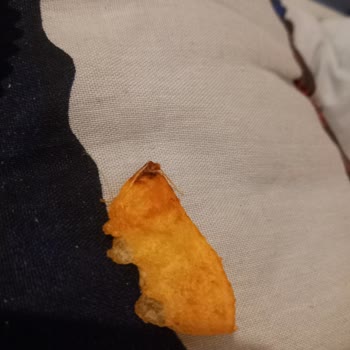 Lays Cips Paketinde Plastik Benzeri Yabancı Maddeyle Karşılaştım