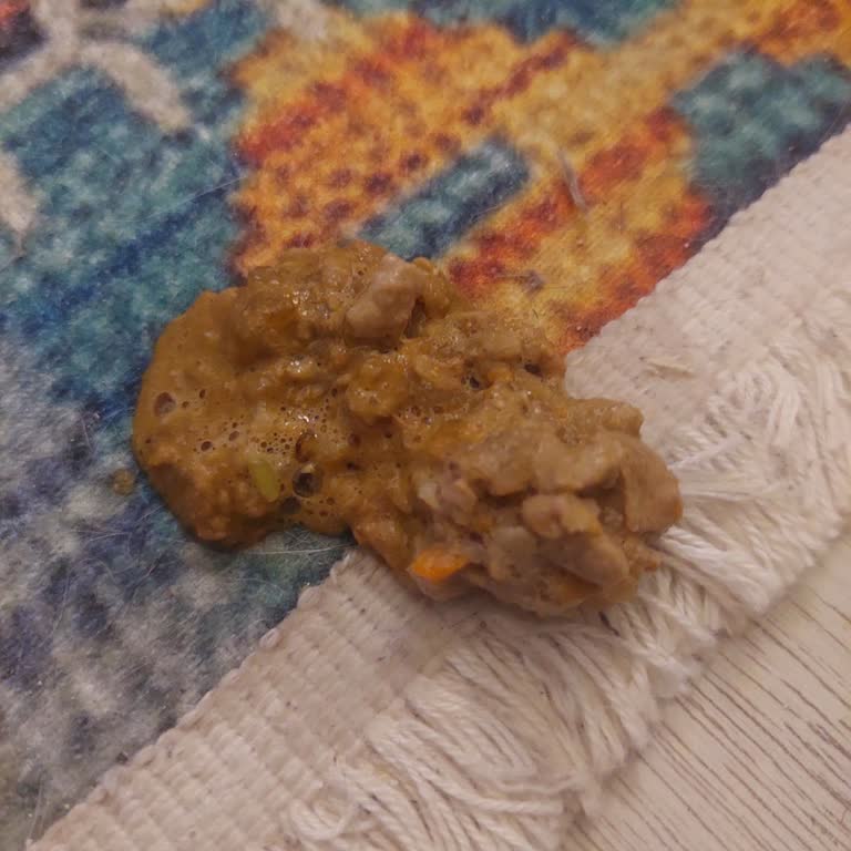 Sheba Yaş Mama Sonrası Kedimde Sağlık Sorunları Yaşadım