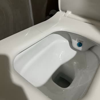 Turkuaz Cerastyle Hera Klozet Kapağı İlk Kullanımda Kırıldı