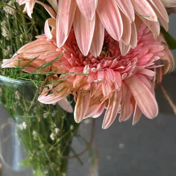 Anneler Günü'nde Solmuş Çiçek Ve Yetersiz Müşteri Hizmeti Nedeniyle Mağduriyet