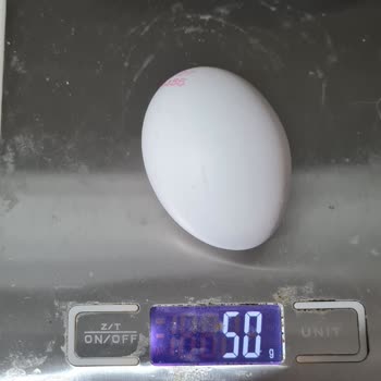 Türem Yumurta'da Yanıltıcı Boyut Sorunu