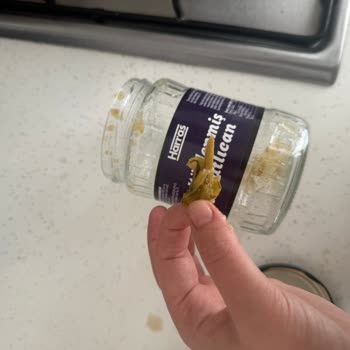 Köz Patlıcanın İçinden Çıkan Tahta Parçası Şaşkınlığı