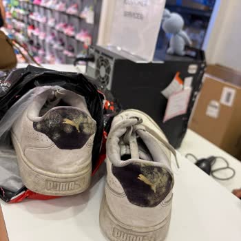 Aldığım Ayakkabı Kısa Sürede Bozuldu, Küflü Şekilde İade Edildi