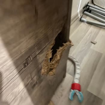 Rapsodi'den Alınan Üründe Yaşanan Sorunlar Ve Çözüm Süreci