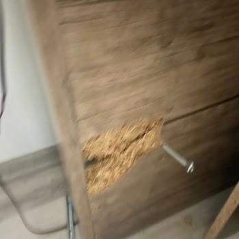 Rapsodi'den Alınan Üründe Yaşanan Sorunlar Ve Çözüm Süreci