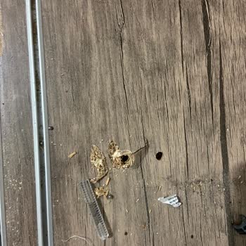 Rapsodi'den Alınan Üründe Yaşanan Sorunlar Ve Çözüm Süreci