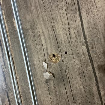 Rapsodi'den Alınan Üründe Yaşanan Sorunlar Ve Çözüm Süreci